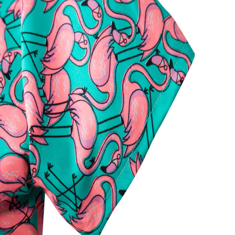 Camisa Flamin Apollo W.