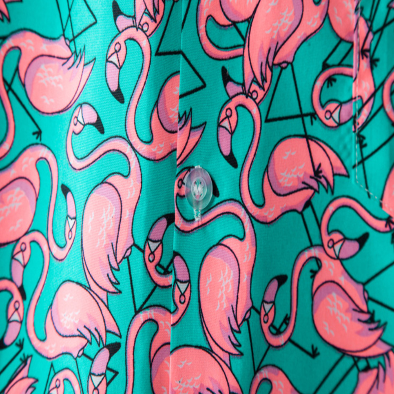 Camisa Flamin Apollo W.