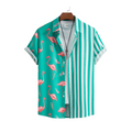 Camisa Mingo Apollo W.