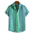 Camisa Multicolor Apollo W.