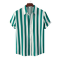 Camisa Apollo Bloses