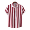 Camisa Apollo Bloses