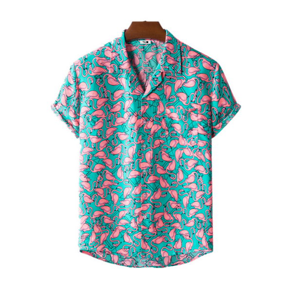 Camisa Flamin Apollo W.